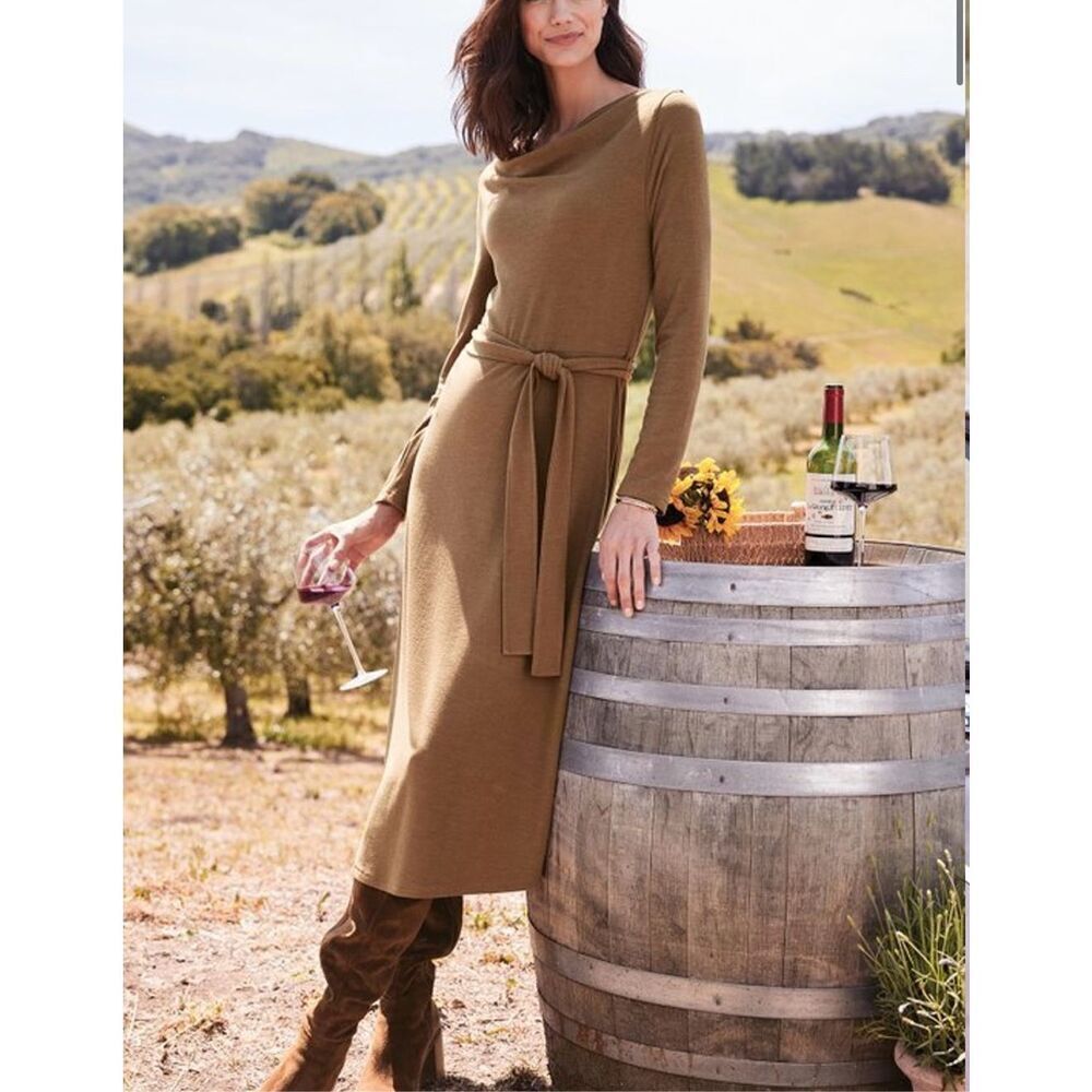 Soft Surroundings Paula Brown Belted Cowl Neck Dress sz PM NWOT